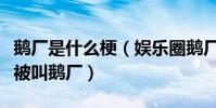 鵝廠是什么梗(娛樂圈鵝廠是哪家公司為什么被叫鵝廠)