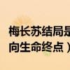 梅長蘇結局是什么（無望的悲涼中吹起號角走向生命終點）