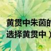 黃貫中朱茵的愛情故事（揭秘女神朱茵為什么選擇黃貫中）
