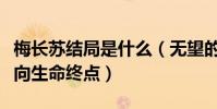 梅長蘇結局是什么(無望的悲涼中吹起號角走向生命終點)