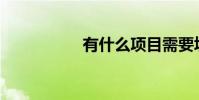有什么項目需要填空?