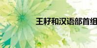 王耔和漢語部首組成新詞