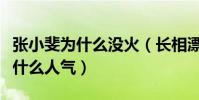 張小斐為什么沒火(長相漂亮演技不錯的她沒什么人氣)