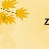 ZUI13有什么特點？