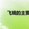 飛蛾的主要內容是什么 講了哪些故事？