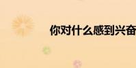 你對什么感到興奮?填空