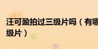 汪可盈拍過三級片嗎(有哪個富二代跑去拍三級片)