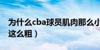 為什么cba球員肌肉那么小(cba小腿為什么這么粗)