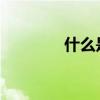 什么是家庭模仿寫作一年級
