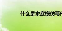 什么是家庭模仿寫作一年級