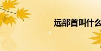 遠部首叫什么?