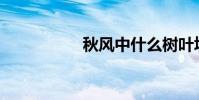 秋風中什么樹葉填空?