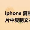 iphone 復制圖片文本（iphone12怎么從照片中復制文本）