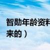 智勛年齡資料簡介（網紅智勛是怎么開始紅起來的）