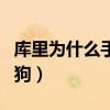 庫里為什么手指綁繃帶（為什么庫里的球迷叫狗）