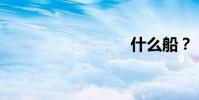 什么船?