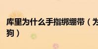 庫里為什么手指綁繃帶(為什么庫里的球迷叫狗)