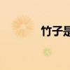 竹子是左右結構還是單個字？