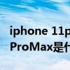 iphone 11pro max是什么馬達（iPhone12ProMax是什么馬達）