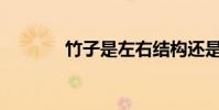 竹子是左右結構還是單個字?