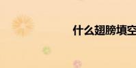 什么翅膀填空?