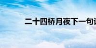 二十四橋月夜下一句話是什么?