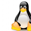 2月17日Linux開發人員修復了可追溯到五年前的嚴重漏洞