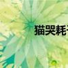 貓哭耗子假慈悲下一句是什么？
