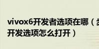 vivox6開發者選項在哪(步步高vivoX6Plus開發選項怎么打開)