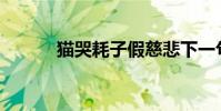 貓哭耗子假慈悲下一句是什么?