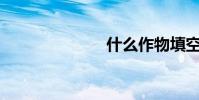 什么作物填空?