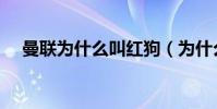 曼聯為什么叫紅狗(為什么曼聯叫我魔)