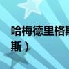 哈梅德里格斯為什么叫j羅（j羅為什么叫哈梅斯）