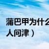 蒲巴甲為什么不火（曾經冠軍出道的他現在無人問津）