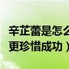 辛芷蕾是怎么火起來的（經歷過生活的艱辛才更珍惜成功）