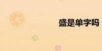 盛是單字嗎?