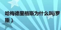 哈梅德里格斯為什么叫j羅(j羅為什么叫哈梅斯)