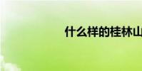 什么樣的桂林山水?