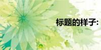 標題的樣子: ()
