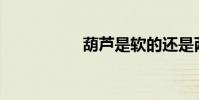 葫蘆是軟的還是兩次?