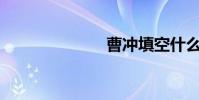 曹沖填空什么?