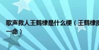 歌聲救人王鶴棣是什么梗(王鶴棣魔鬼歌聲太難聽意外救人一命)