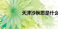天津沙秋思是什么流派?