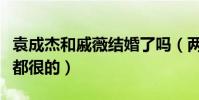 袁成杰和戚薇結婚了嗎(兩人各自的婚姻狀況都很的)