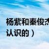 楊紫和秦俊杰分手的原因是什么（他們是怎么認識的）