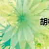 胡楊西風是什么意思？