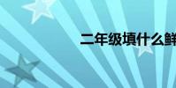二年級填什么鮮紅?