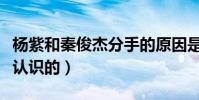 楊紫和秦俊杰分手的原因是什么(他們是怎么認識的)