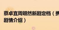 蔡卓宜周翊然新劇定檔(攜手上演甜寵姐弟戀劇情介紹)