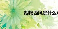胡楊西風是什么意思?